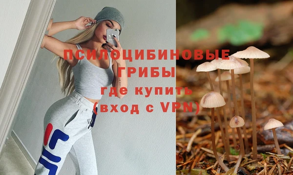 скорость Белокуриха